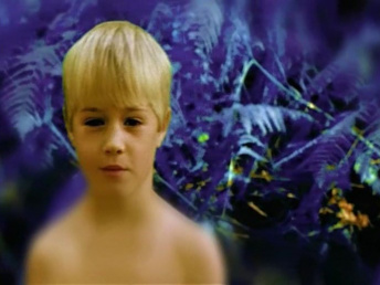 The Human Body - Episode 1